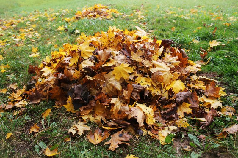 Leaf Mulching Process