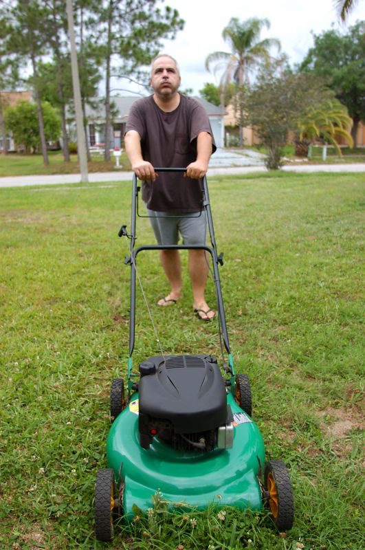 Lawn Mowing detail