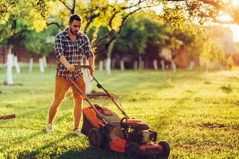 Summer Lawn Maintenance