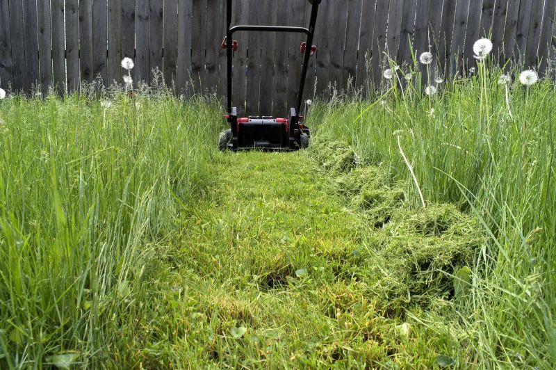 Overgrown Lawn Trimming