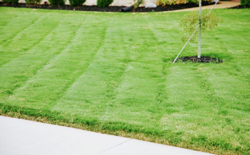 Spring Lawn Care