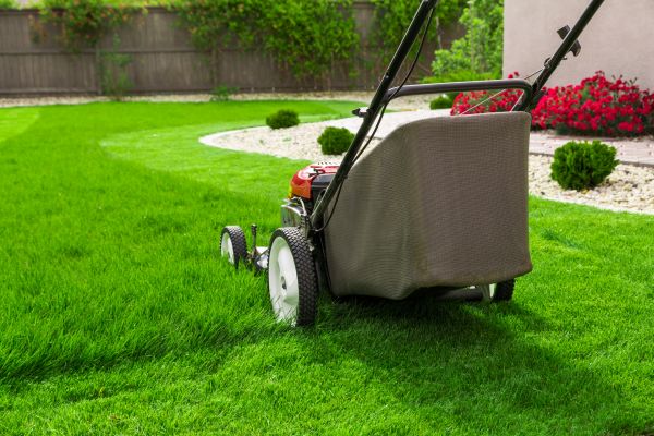 Home Yard Maintenance in Eugene