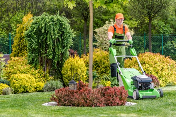 Weekly Lawn Maintenance in Eugene