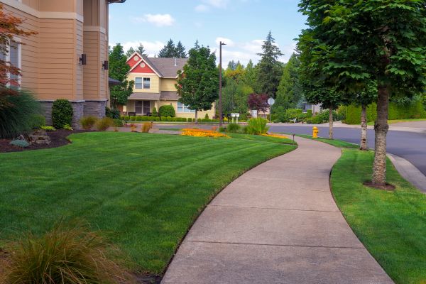 Home Lawn Maintenance in Eugene