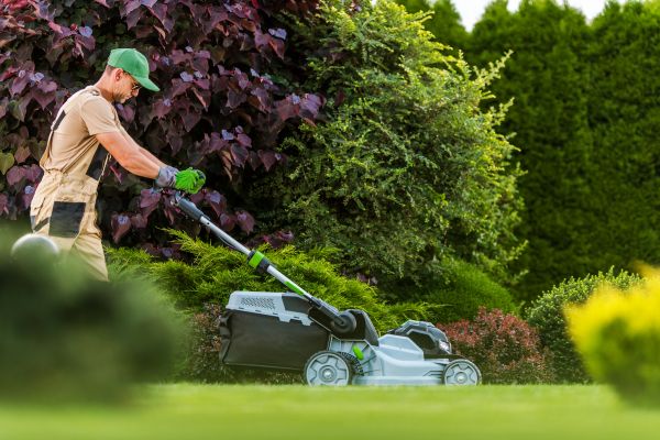 Lawn Management in Eugene