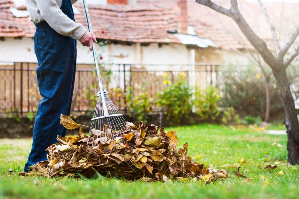 Routine Lawn Maintenance in Eugene