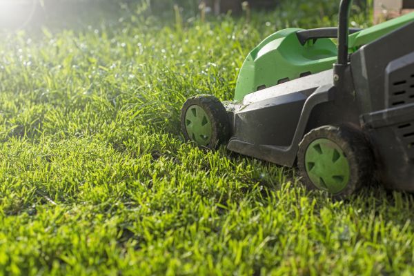 Lot Mowing in Eugene