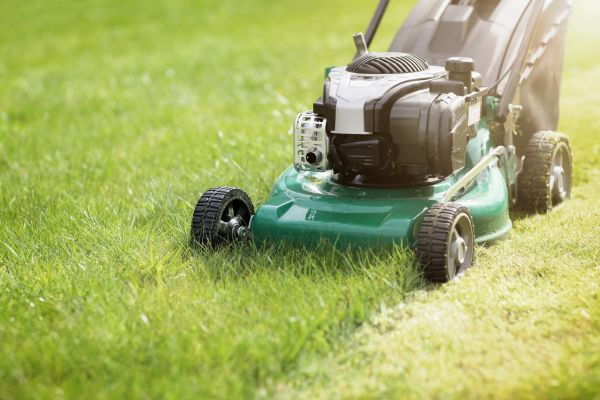 Spring Grass Trimming in Eugene