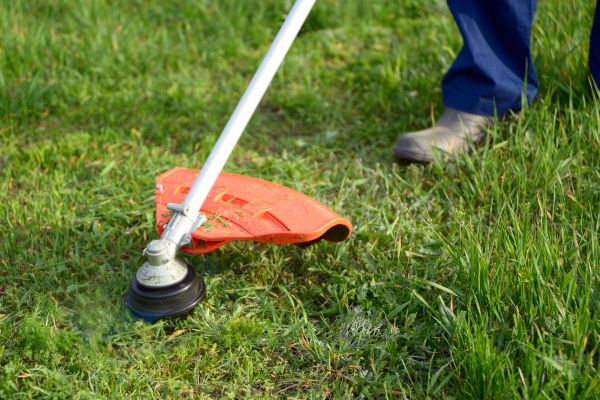 Lawn Weed Whacking in Eugene
